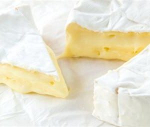 camembert-cheese-starter-kit.jpg