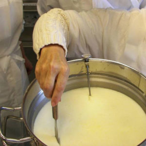 making-cheese1.jpg